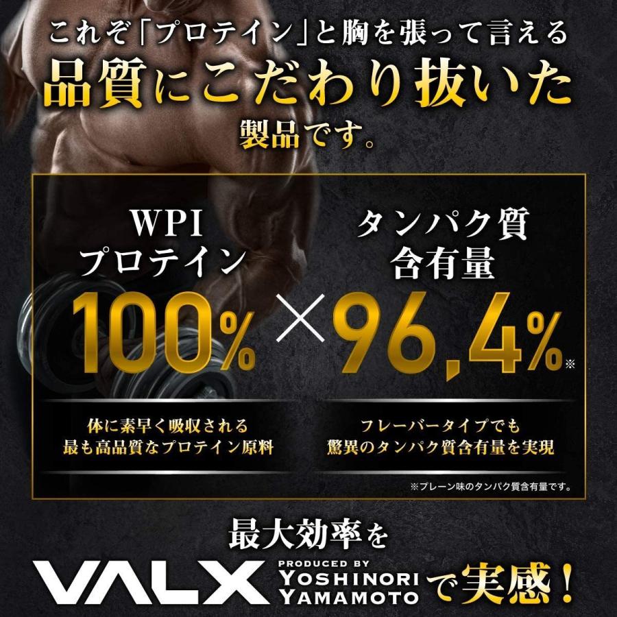Valx バルクス ホエイプロテイン Wpi パーフェクト 山本義徳 プロテイン 1000g アイソレート 抹茶風味 筋トレ V0006 Valx Online Store 通販 Yahoo ショッピング