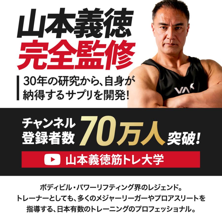 VALX プロテイン WPIパーフェクト 【6種類の味から選べるお得な2個セット】 1kg ×2袋 (2kg) 山本義徳 監修 プロテイン 1kg アイソレート ダイエット 筋トレ｜valx｜13