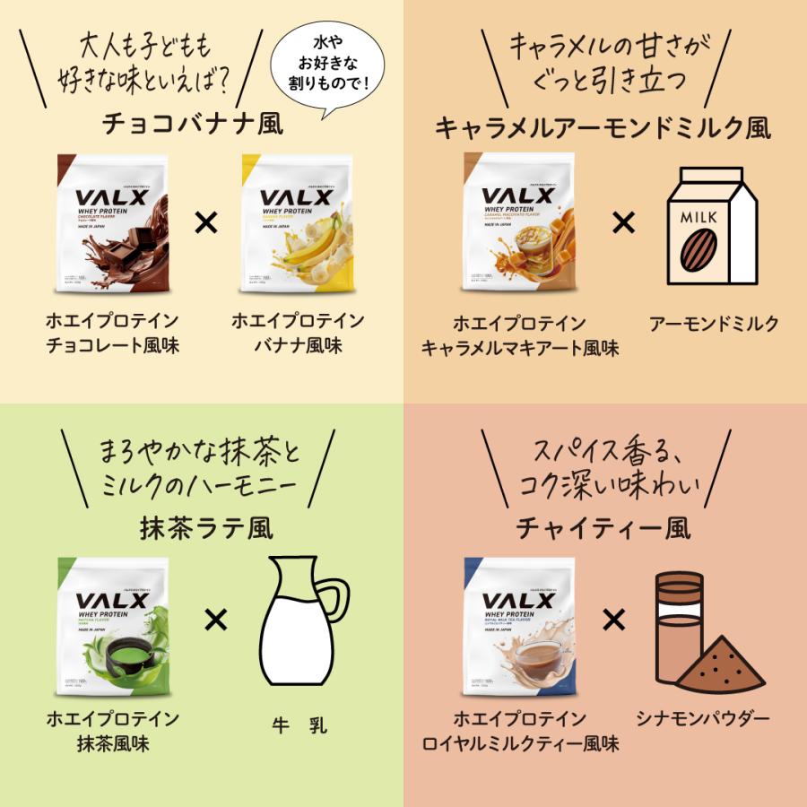 valx ホエイプロテイン WPI 1kg 2個セット ホエイプロテイン WPIパーフェクト 1kg | VALXメンバーズストア