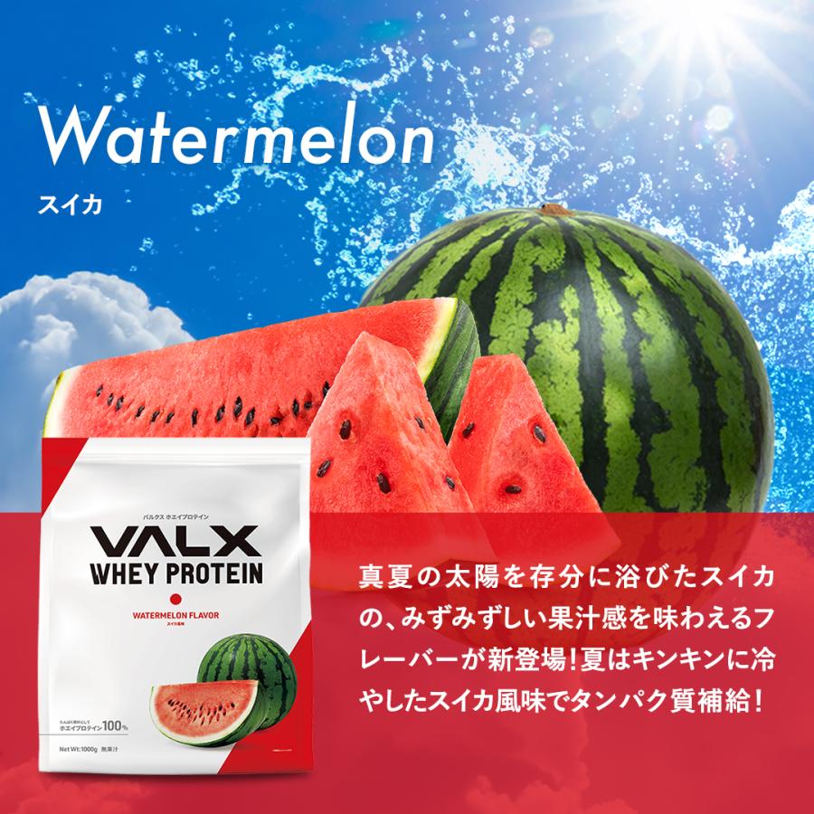 VALX (バルクス) ホエイプロテイン WPC 12種類の味から選べる 山本義徳 