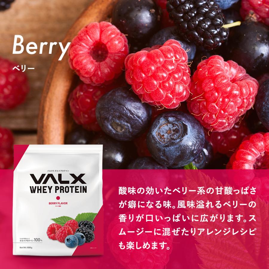 VALX (バルクス) ホエイプロテイン WPC 12種類の味から選べる 山本義徳 1kg  女性 男性｜valx｜22