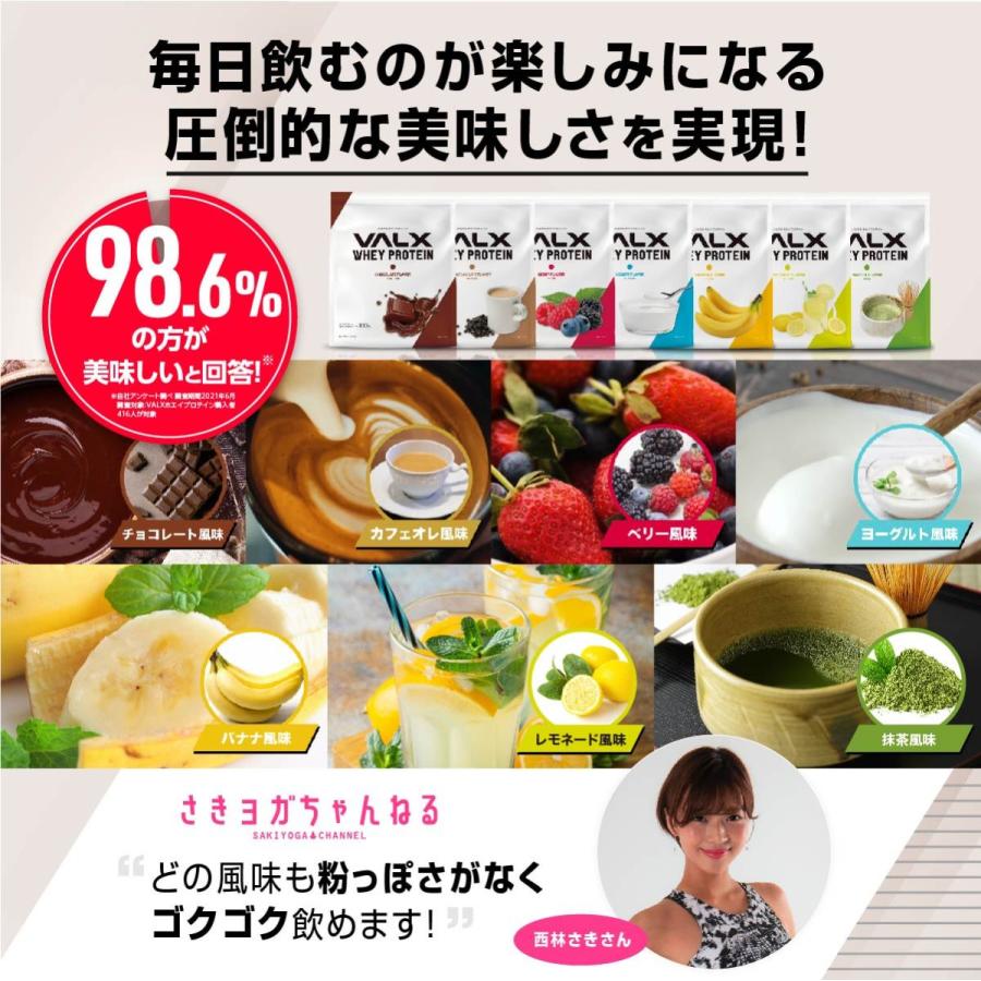 卸売り Valx バルクス ホエイプロテイン Wpc 山本義徳 プロテイン 1000g レモネード風味 Wantannas Go Id