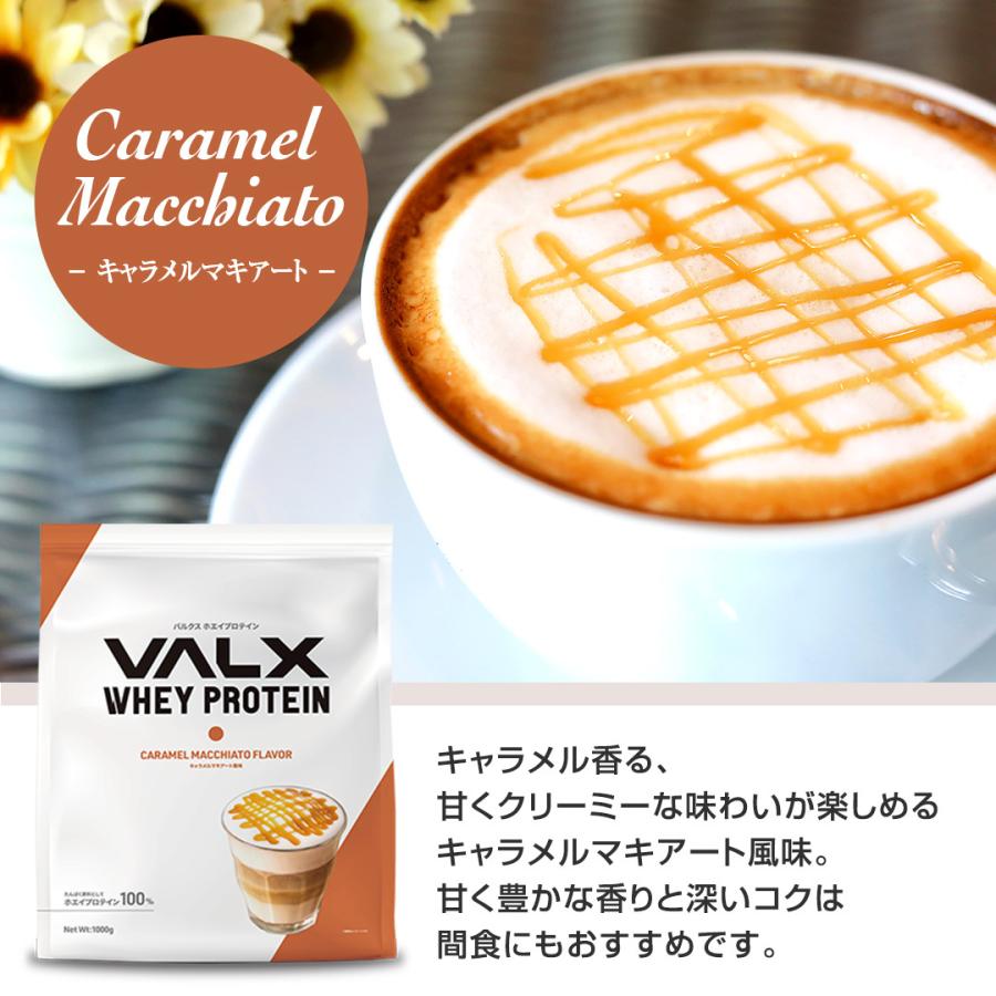 VALX (バルクス) ホエイプロテイン WPC キャラメルマキアート風味 山本義徳 1kg  女性 男性 1000g｜valx｜06