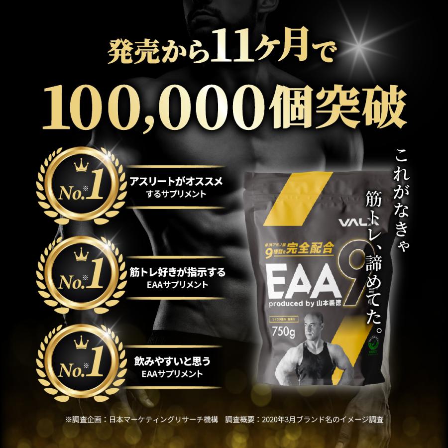 お得な6個セット】VALX (バルクス) EAA9 山本義徳 プロデュース