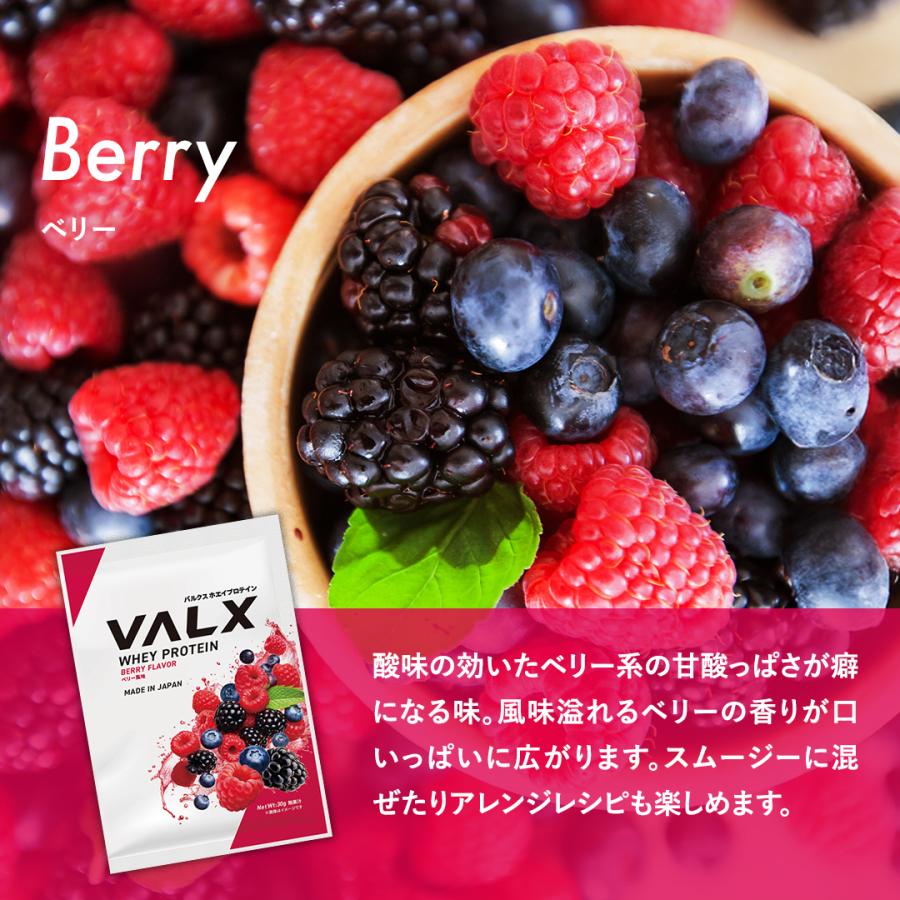 VALX（バルクス） ホエイプロテイン WPC コンプリートセット お試し 個