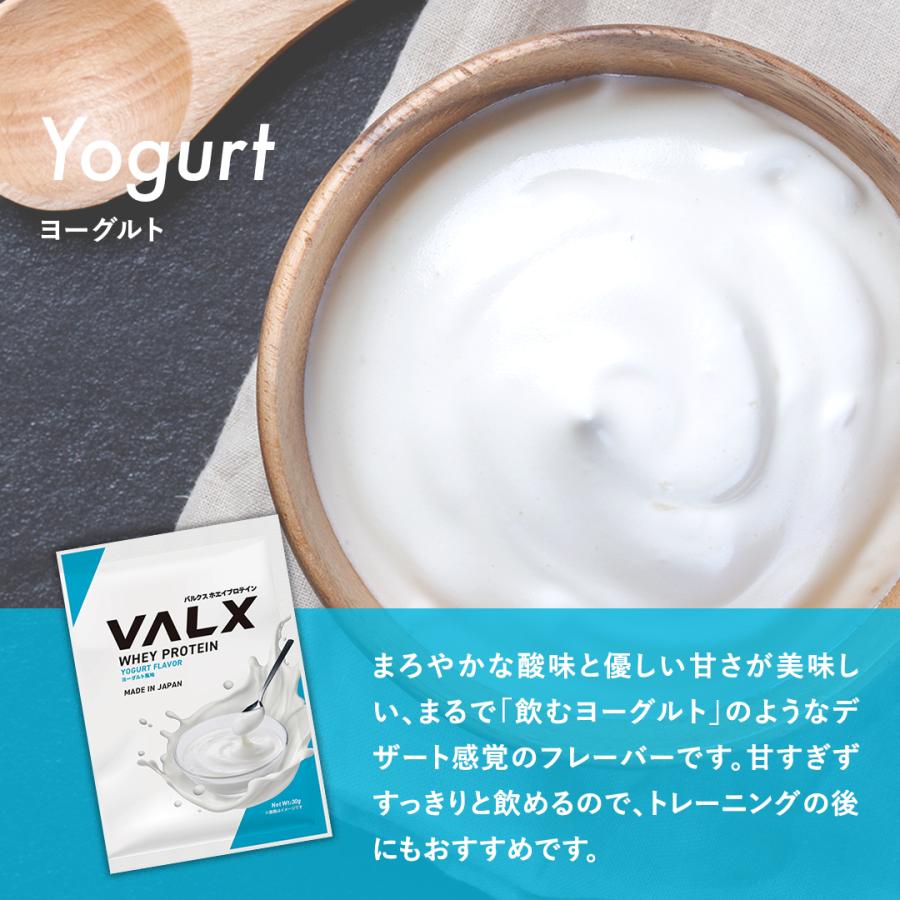 VALX (バルクス) ホエイプロテイン WPC コンプリートセット お試し 個