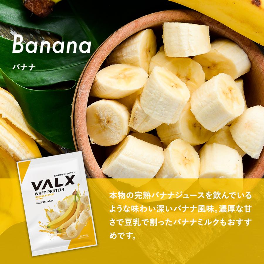 VALX（バルクス） ホエイプロテイン WPC コンプリートセット お試し 個