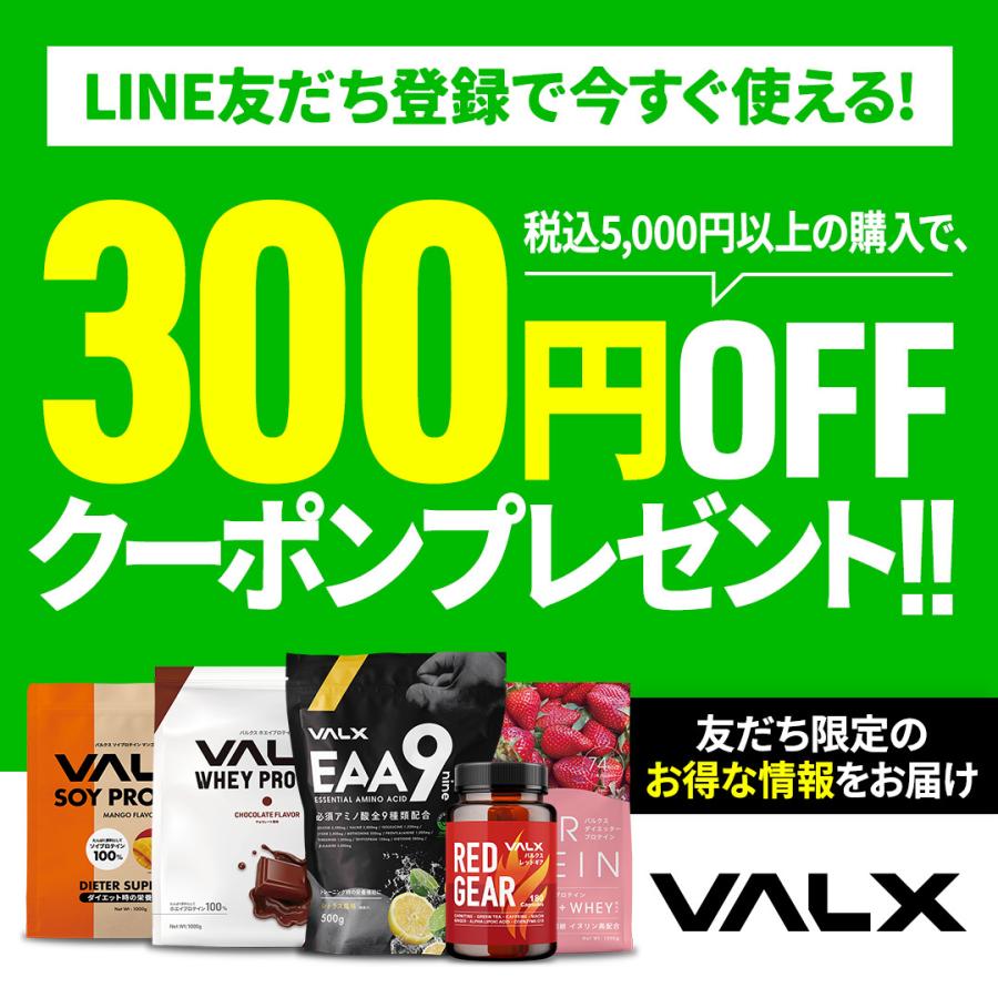 VALX（バルクス） ホエイプロテイン WPC コンプリートセット お試し 個