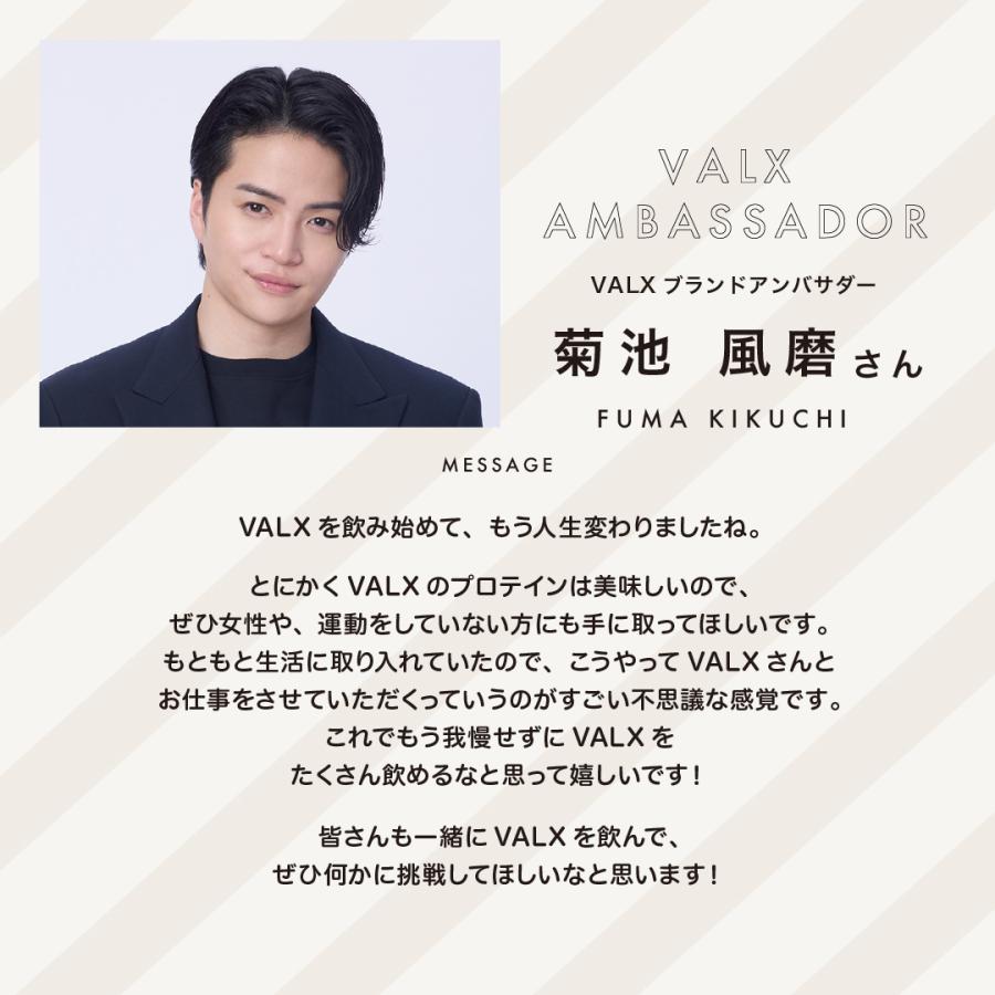 VALX（バルクス） ホエイプロテイン WPC コンプリートセット お試し 個