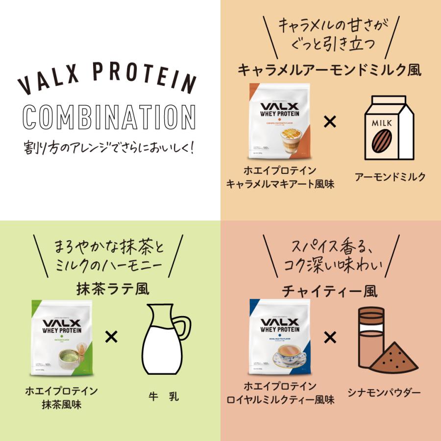 VALX（バルクス） ホエイプロテイン WPC コンプリートセット お試し 個