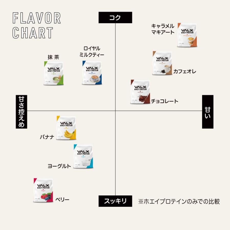 プロフ必読100gバルクセット VALX（バルクス） ホエイプロテイン WPC コンプリートセット お試し 個