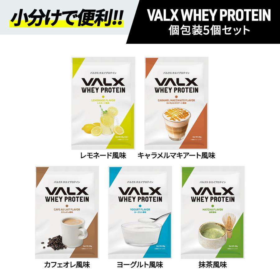 VALX (バルクス) ホエイプロテイン WPC 個包装 5個セット 山本義徳 