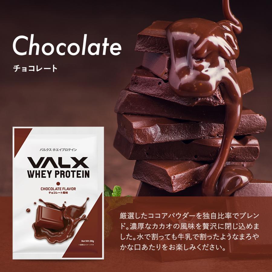 VALX (バルクス) ホエイプロテイン WPC 個包装 5個セット 山本義徳 