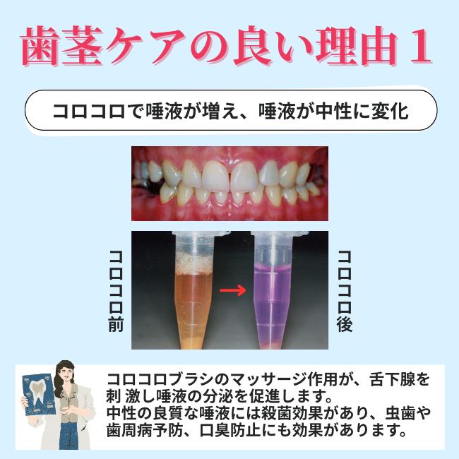 歯ブラシ コロコロブラシ (プレミアム) 4本 歯科医推奨 歯医者おすすめ 歯周病予防 舌ブラシ 歯槽膿漏 口臭改善 歯茎マッサージ デンタルエステ 奇跡 日本製 | COLOCOLOBRUSH | 08