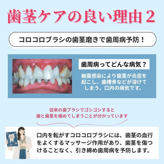 歯ブラシ 公式 ころころ歯ぶらし 2本 歯科医推奨 歯医者おすすめ 歯周病 舌ブラシ コロコロブラシ 歯槽膿漏 口臭改善 歯茎マッサージ デンタルエステ 奇跡の | COLOCOLOBRUSH | 09