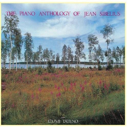 vanda p toce 91104