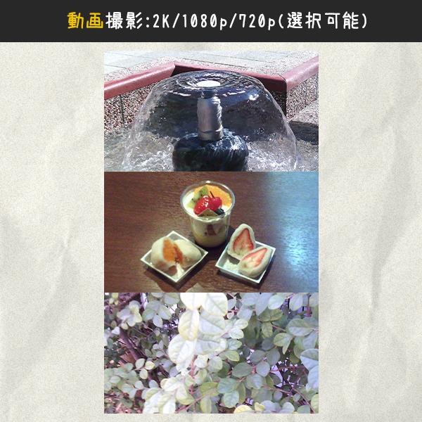 HARU Retro Camera レトロカメラ ミニカメラ 小型カメラ レトロ 韓国