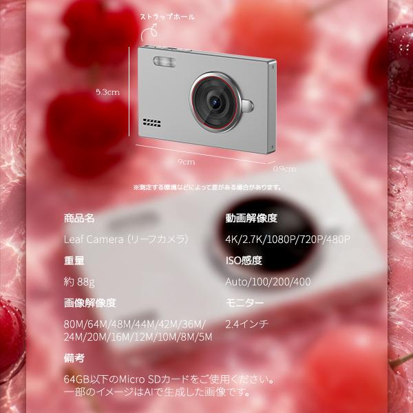 Leaf Camera デジカメ レトロカメラ ミニカメラ 小型カメラ レトロ