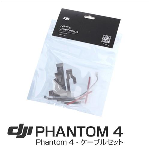 最終処分セール DJI Phantom 4  ケーブルセット Part 34 ネコポス｜vaniastore