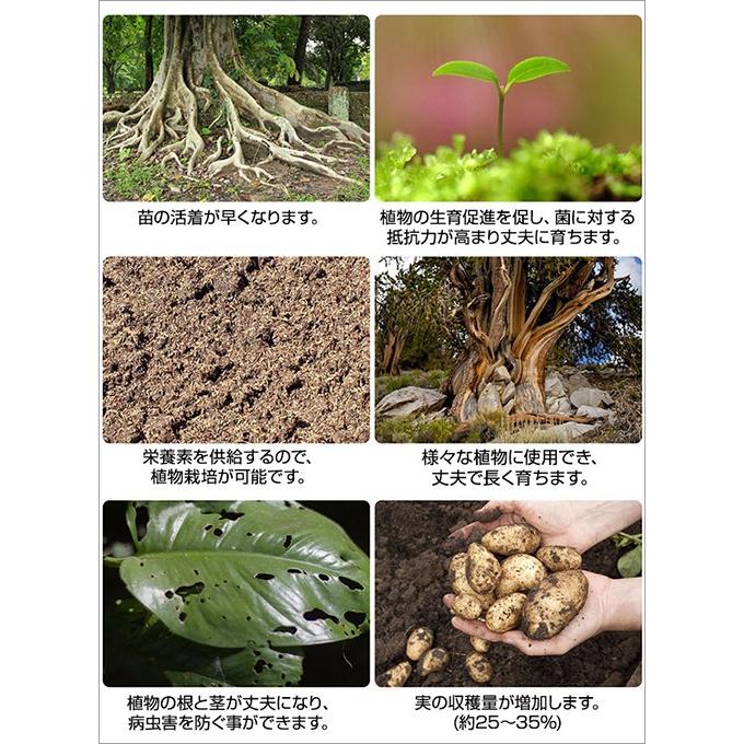 天然促進剤 半永久的 スティック型 Neo Stick 植物 栽培 肥料 活力 栄養 エコ 栽培促進 簡単挿すだけ 植木鉢 野菜 花 家庭菜園 水耕栽培 ネコポス V1508 Vania Store 通販 Yahoo ショッピング