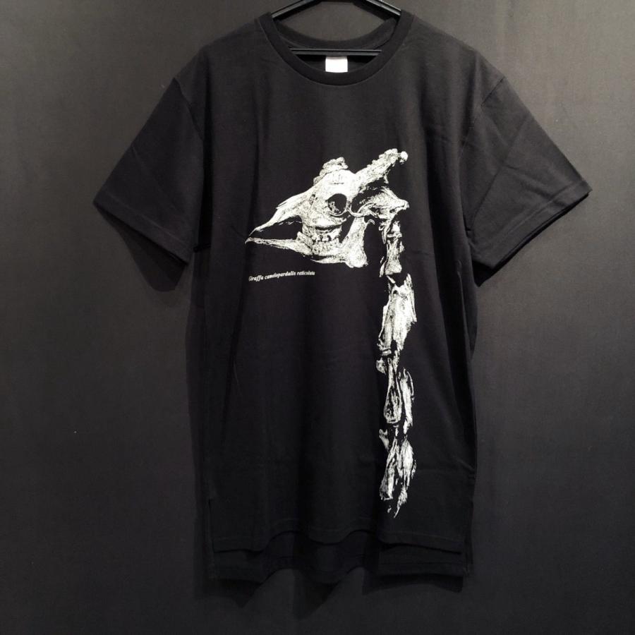 骨格tシャツ キリンの頭骨と頸椎 ヴァニラ画廊ウェブストア 通販 Yahoo ショッピング