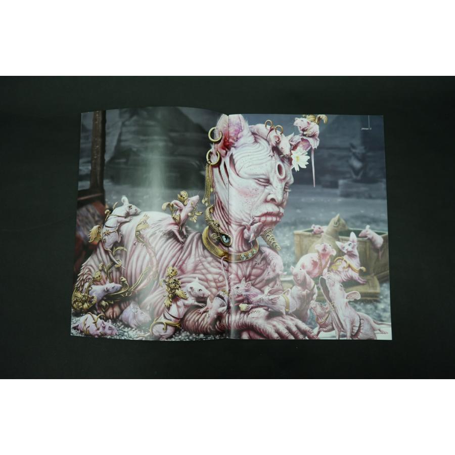 アート/エンタメ/ホビー Photo Graphica Vol.21 PHOTOGRAPHICA complete 21 volume setフォトグラフィカ 全21巻揃