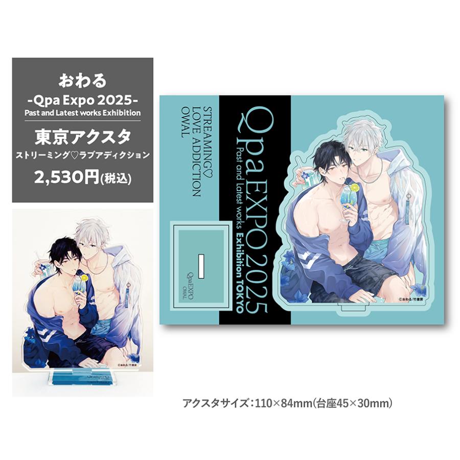 美品★あんスタ★ローソン★ダイカットクッション★2点セット 美品☆あんスタ☆ローソン☆ダイカットクッション☆2点セット