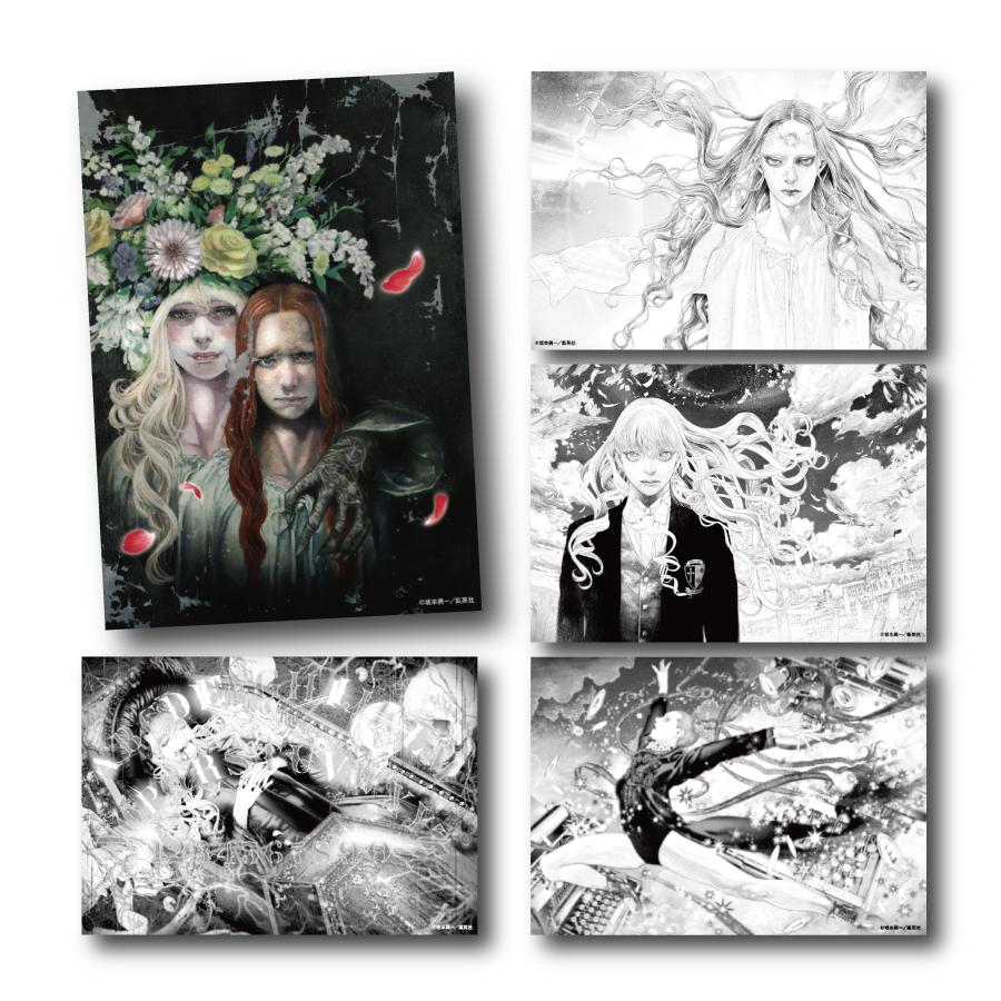 坂本眞一 「坂本眞一クロニクル：Present」 B6イラストカードセット(A