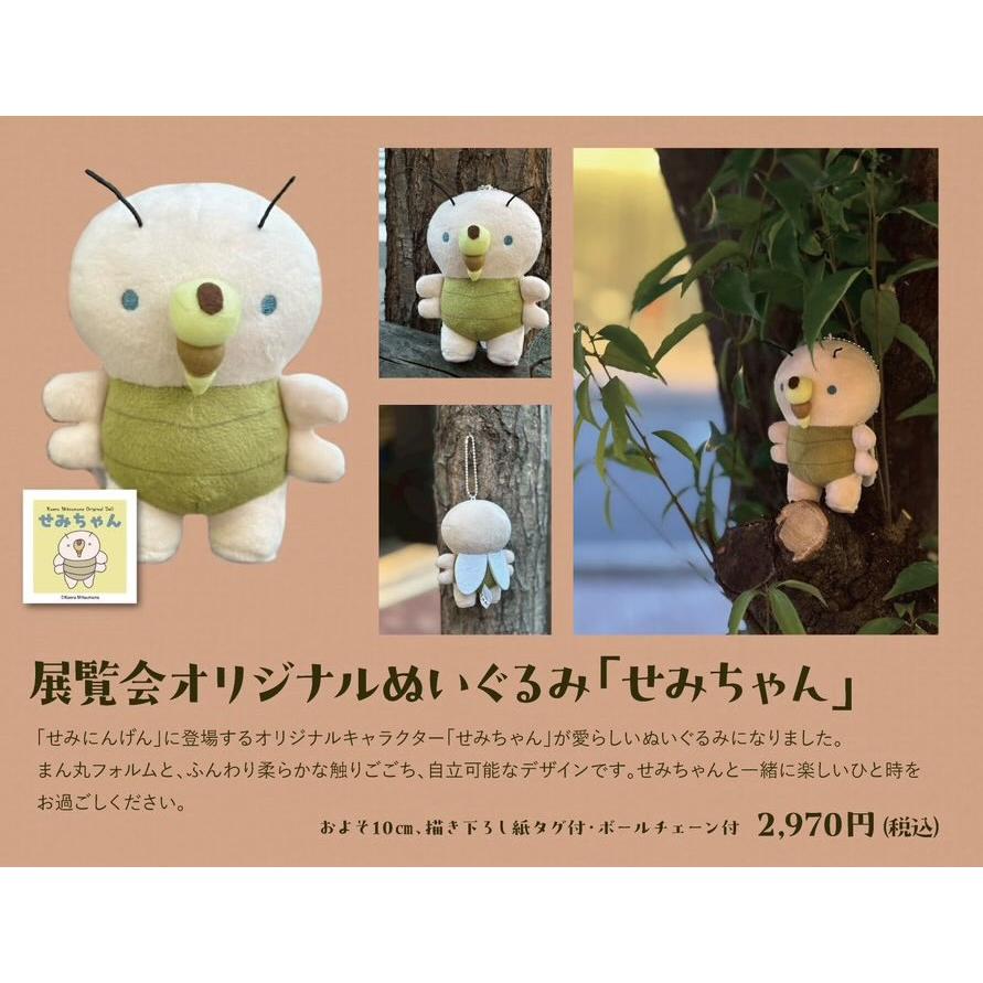 【新品】さだまさし50周年記念　完全予約受注生産　詩之助ぬいぐるみ　色紙オマケ 光宗薫 展覧会オリジナルぬいぐるみ「せみちゃん」 : ヴァニラ画廊