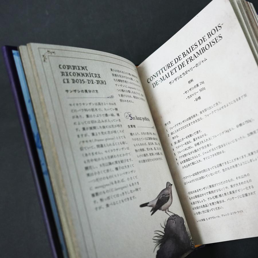 魔女の秘薬事典』 : ヴァニラ画廊ウェブストア - 通販 - Yahoo