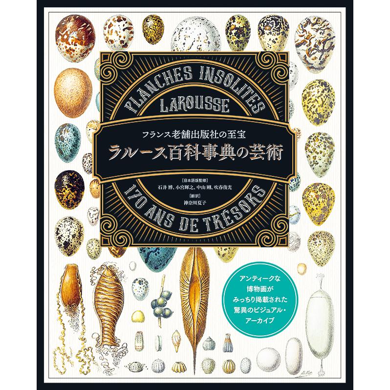 ラルース百科事典の芸術』 : ヴァニラ画廊ウェブストア - 通販
