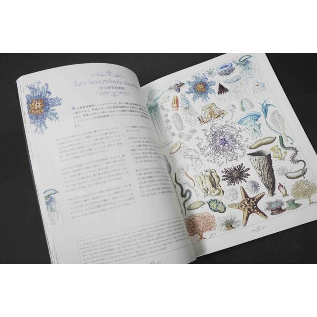 ラルース百科事典の芸術』 : ヴァニラ画廊ウェブストア - 通販 - Yahoo