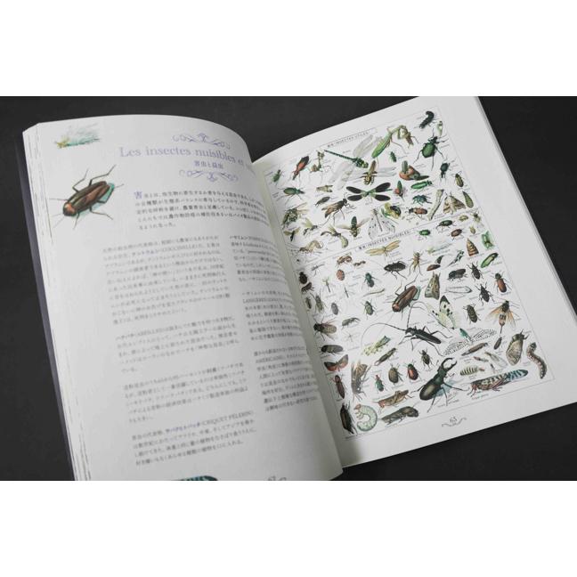 ラルース百科事典の芸術』 : ヴァニラ画廊ウェブストア - 通販 - Yahoo