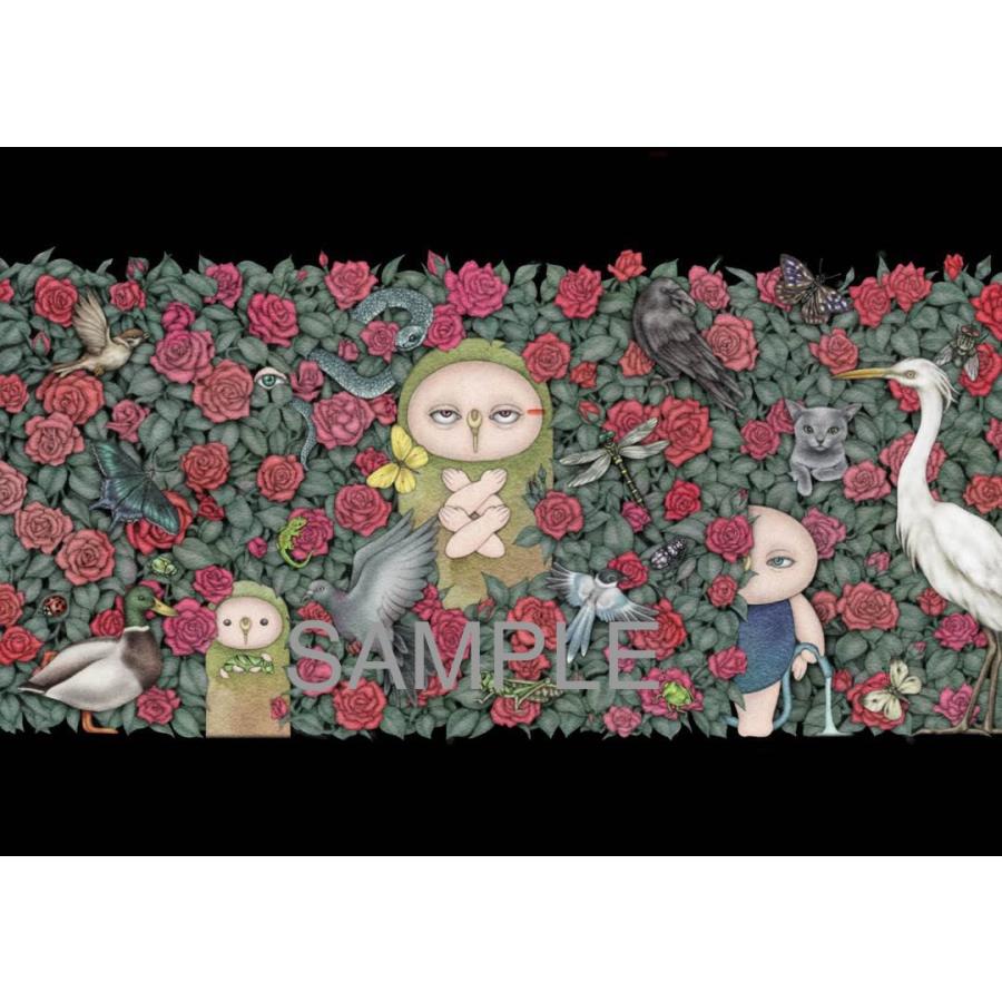 光宗薫 作品集『せみにんげん』【サイン入り】 : ヴァニラ画廊ウェブ