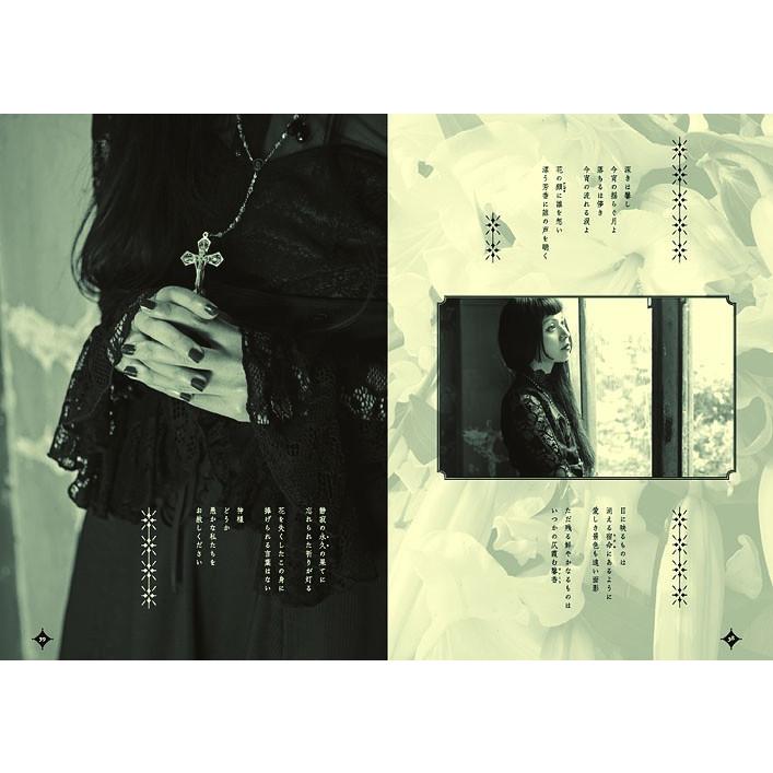 安蘭 画集『BAROQUE PEARL』 【サイン入り】 : ヴァニラ画廊ウェブ