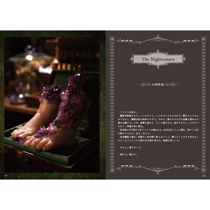 林美登利 『Night Comers〜夜の子供たち』 【サイン入り】 : ヴァニラ