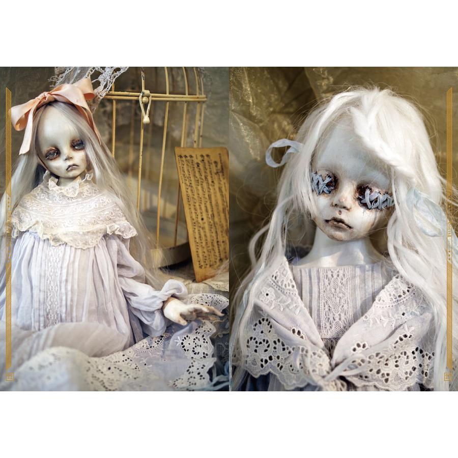 田中流 『Dolls II 瞳に映る永遠の記憶』 【サイン入り】 : ヴァニラ