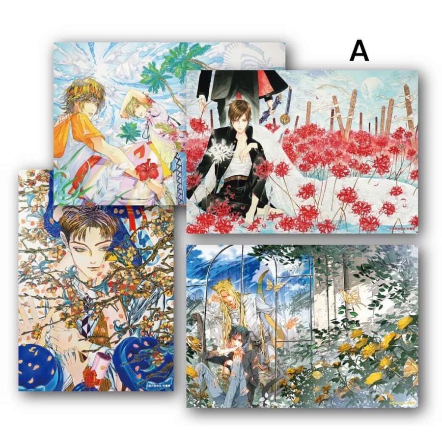 麗人 20周年駅ポスター 笠井あゆみ 9784801949010_600.jpg?