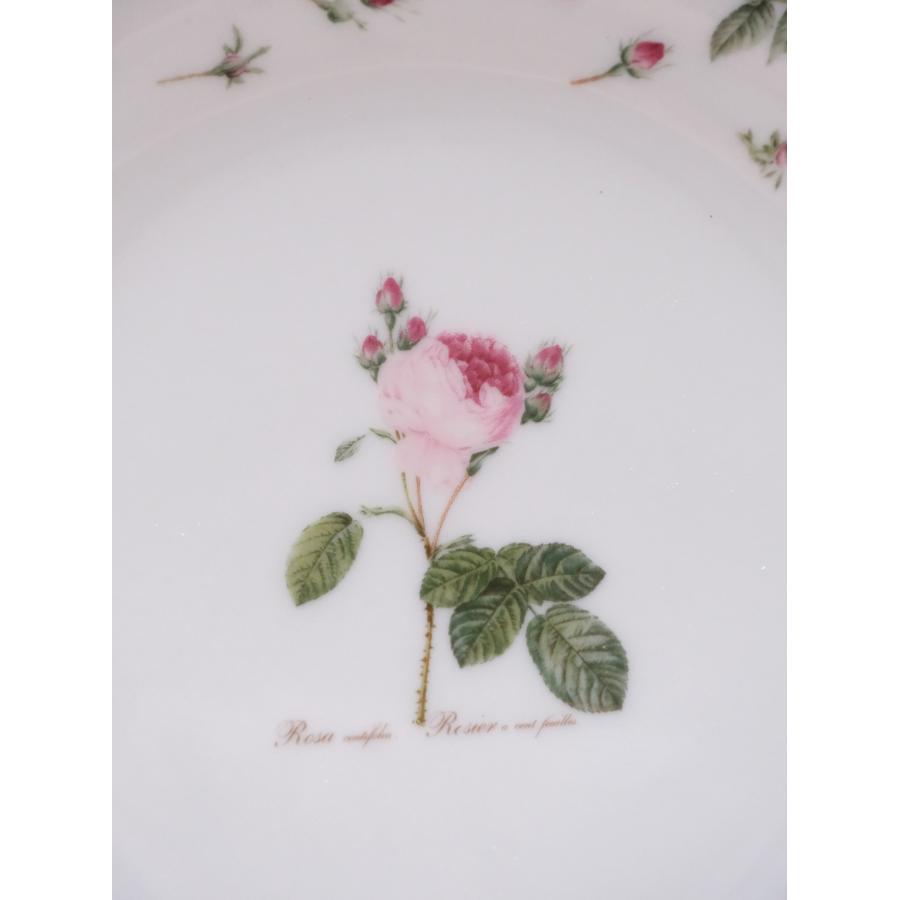 皿 プレート ルドゥーテローズ プレート19.7 ケーキプレート