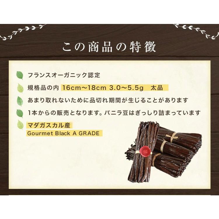 マダガスカル産 バニラビーンズ オーガニックECOCERT認定 1本入 マダガスカル産 バニラビーンズ オーガニックECOCERT認定 1本入