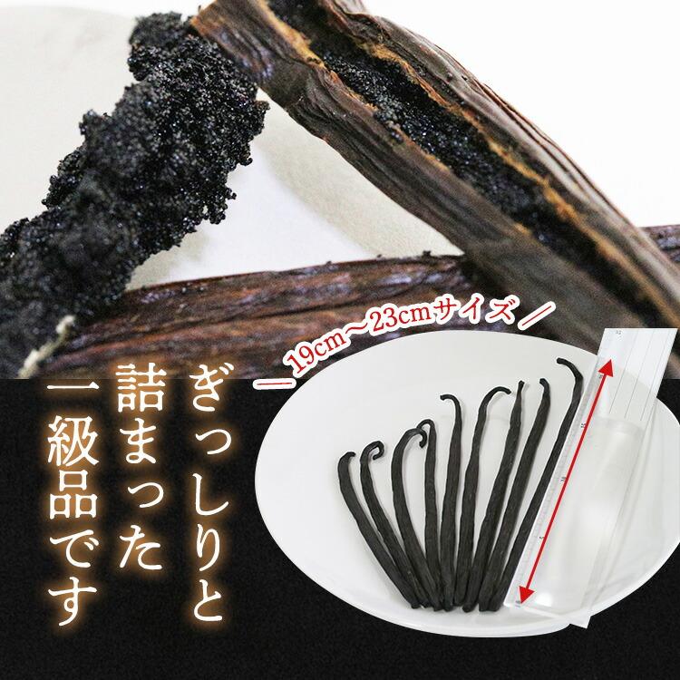 バニラビーンズ 【極長19-23cm】 【1本】 パプアニューギニア産 バニラビーンズ 【極長19-23cm】 【1本】 パプアニューギニア産