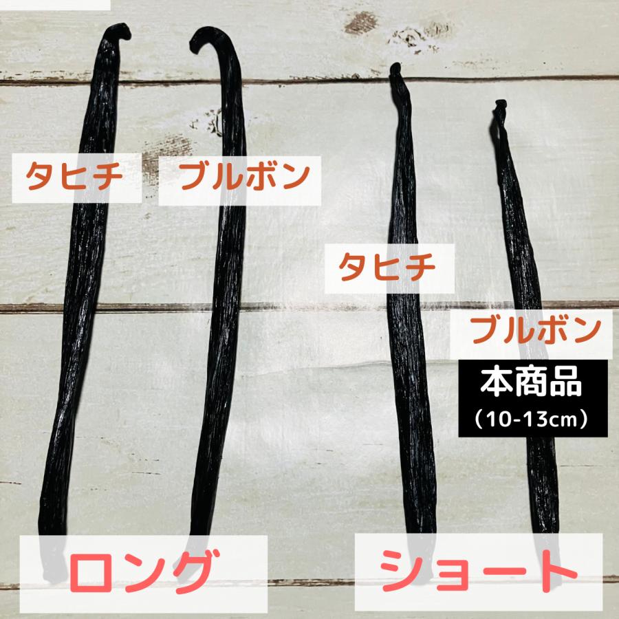 10本入り：ブルボンバニラ・ショートサイズ（10-13cm)｜vanillabeans-eternal｜02