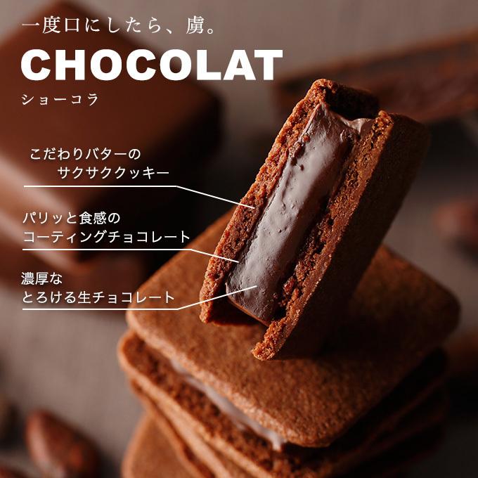 チョコレート ギフト バニラビーンズ 公式 ショーコラ8個入(送料込) チョコ スイーツ お菓子 プレゼント 父の日 中元｜vanillabeansyokohama｜08