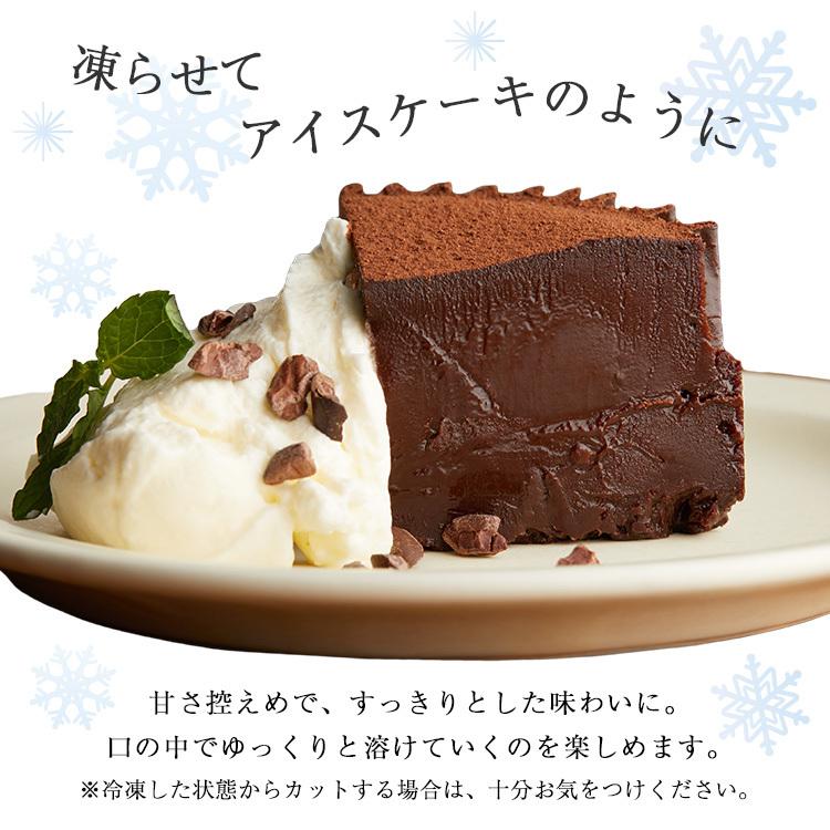 オリジナルテリーヌショコラ Terico テリコ チョコ ケーキ Cake Terico Rg 横浜チョコレートのバニラビーンズ 通販 Yahoo ショッピング