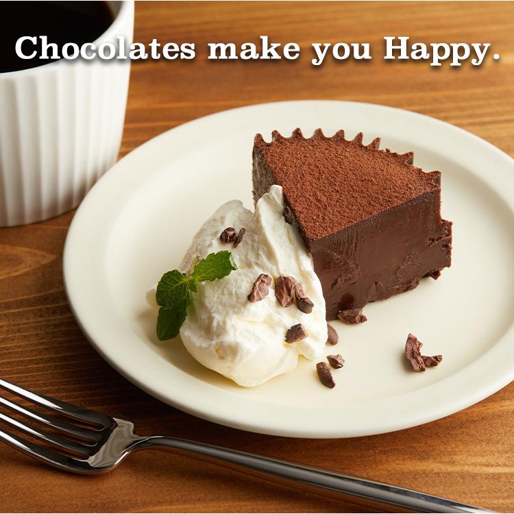 オリジナルテリーヌショコラ Terico テリコ チョコ ケーキ Cake Terico Rg 横浜チョコレートのバニラビーンズ 通販 Yahoo ショッピング