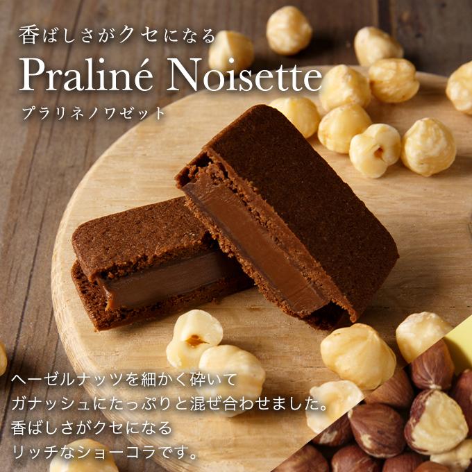 お中元 御中元 ショーコラ24個入 父の日ギフト 父の日 バニラビーンズ 公式 チョコ チョコレート スイーツ お菓子 プレゼント ギフト｜vanillabeansyokohama｜13