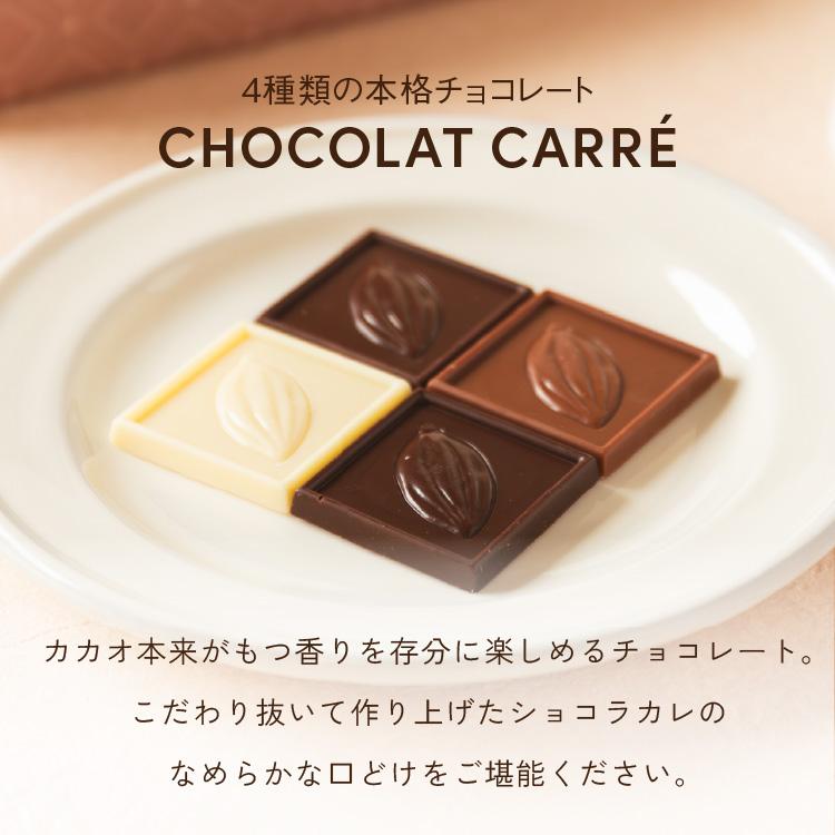 VANILLABEANS ハロウィンアソート[11/10着迄](注文受付10/31 12