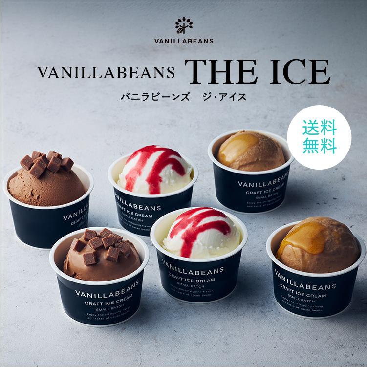 VANILLABEANS（バニラビーンズ） VANILLABEANS THE ICE (送料無料) [9