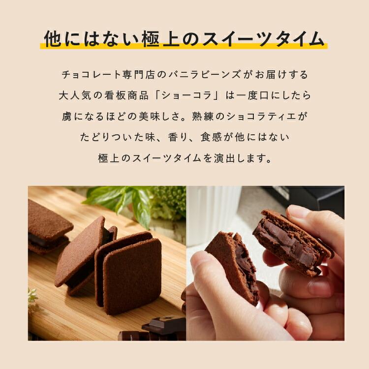 バニラビーンズお試しセット 横浜 チョコレート スイーツ 7種類 個包装