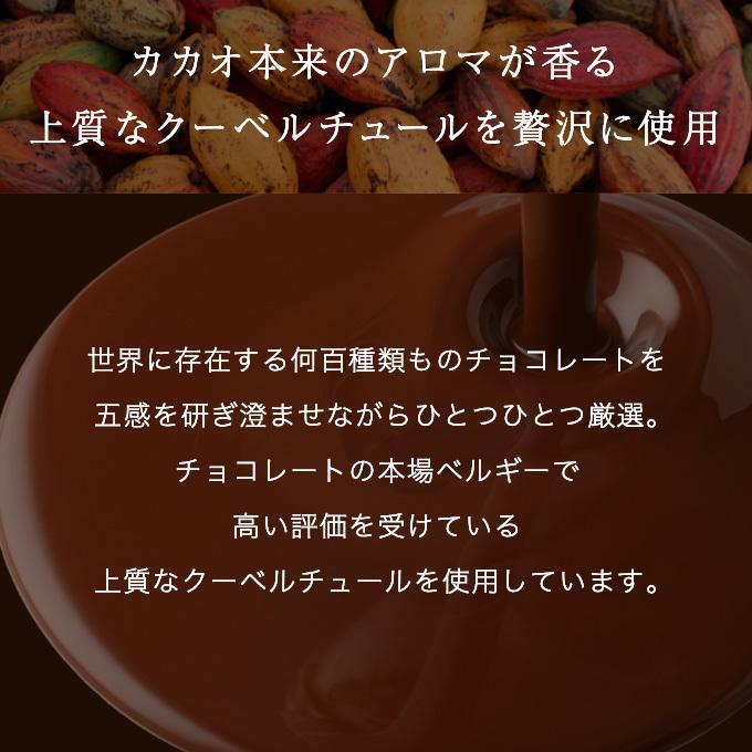 チョコレート ギフト バニラビーンズ 公式 ショーコラ＆パリトロ8個入(送料込) チョコ スイーツ お菓子 プレゼント 父の日 中元｜vanillabeansyokohama｜14